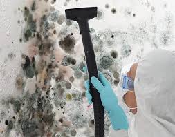 Mold Odor Removal Services in Indialantic, FL